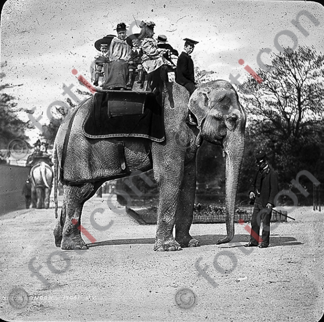 Auf einem Elefanten | On an elephant - Foto foticon-simon-167-016-sw.jpg | foticon.de - Bilddatenbank für Motive aus Geschichte und Kultur